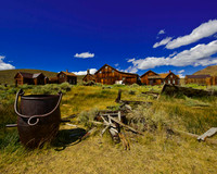 Bodie_DSC4234-crop 2.jpg