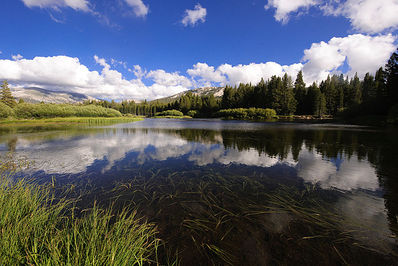 River / lake Tioga