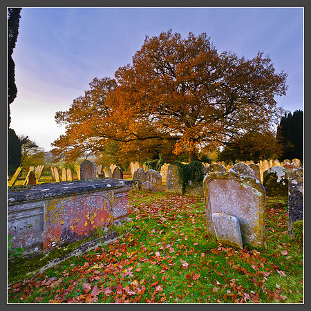 Autumn 2010 (1 of 1)