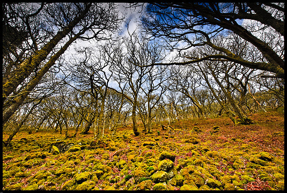 Elan Valley