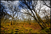 Elan Valley