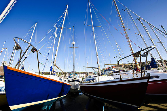 Aberaeron Harbour 23