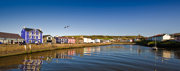Aberaeron Harbour 13