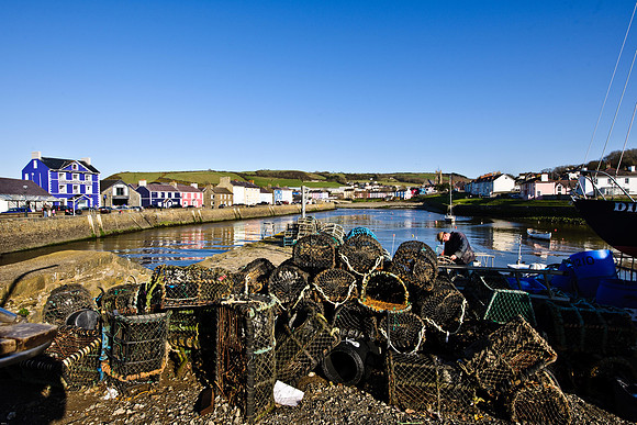 Aberaeron Harbour 21