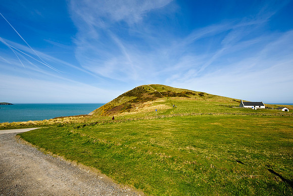 Mwnt 2