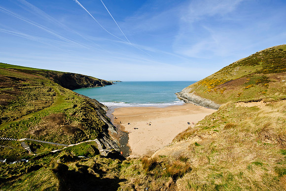 Mwnt