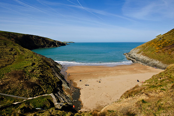 Mwnt 4