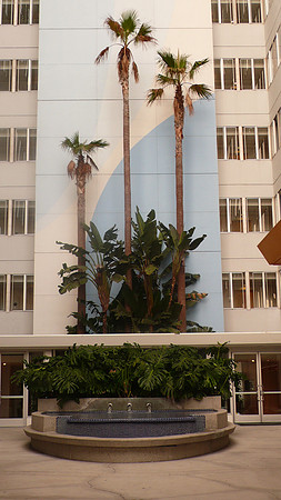 L1000627.JPG