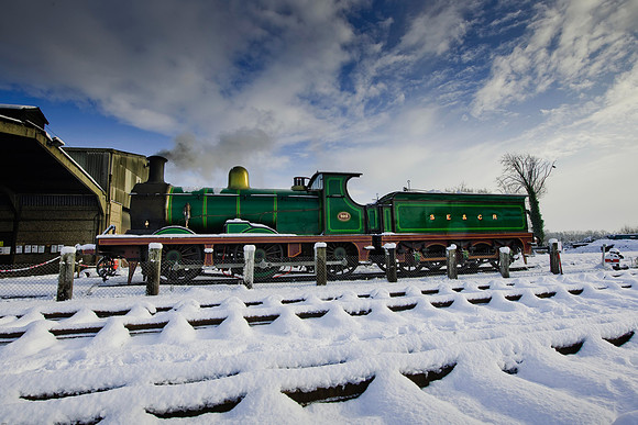 RWCS Bluebell Jan -0115