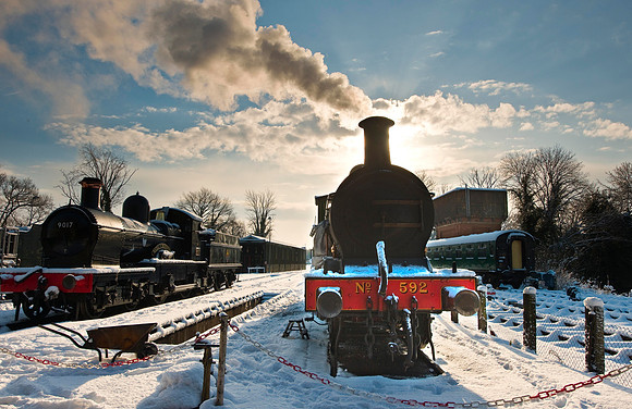 RWCS Bluebell Jan_