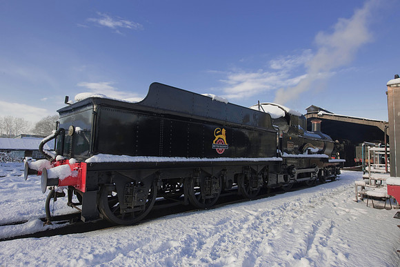 RWCS Bluebell Jan -0127
