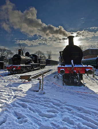 RWCS Bluebell Jan_-2