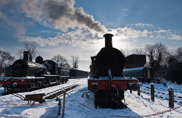 RWCS Bluebell Jan -0136