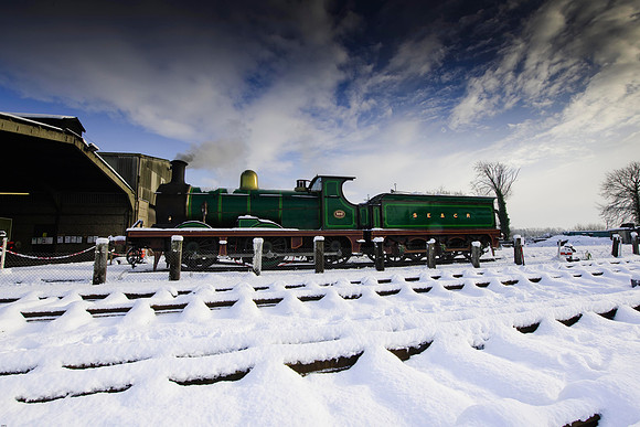 RWCS Bluebell Jan -0114