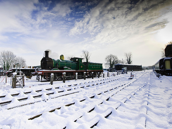 RWCS Bluebell Jan -0116