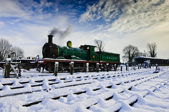 RWCS Bluebell Jan -0117