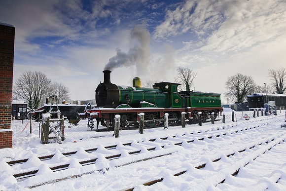RWCS Bluebell Jan -0118