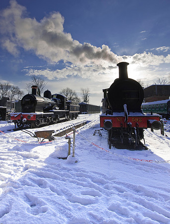 RWCS Bluebell Jan -0137