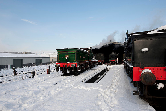 RWCS Bluebell Jan -0108