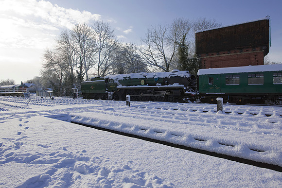 RWCS Bluebell Jan -0128