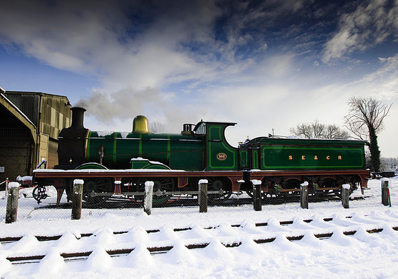 RWCS Bluebell Jan -0113