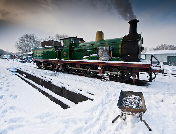 RWCS Bluebell Jan -0103-3