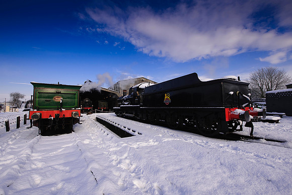 RWCS Bluebell Jan -0106