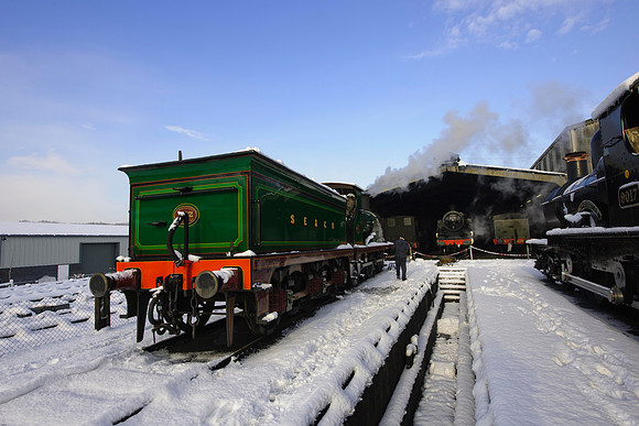 RWCS Bluebell Jan -0105