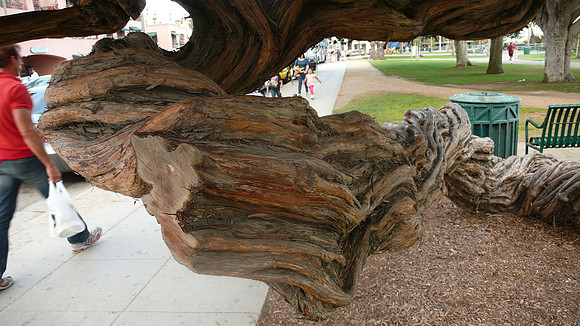 L1000636.JPG