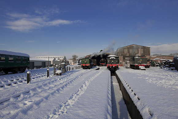 RWCS Bluebell Jan -0129