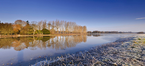 Mockbridge  Sussex Winter views