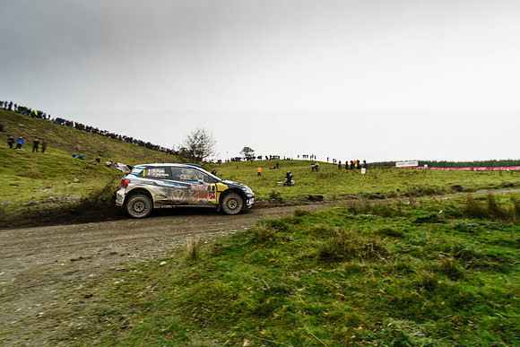 WRC_OCT 2016-6250