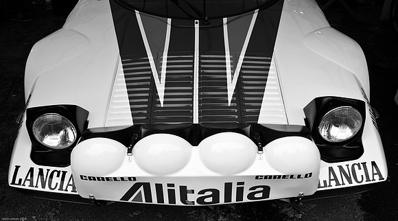 RWCS CAR portfolio-16.jpg