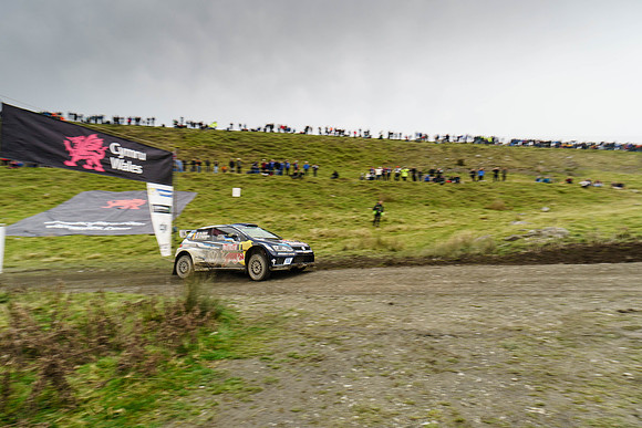 WRC_OCT 2016-6242