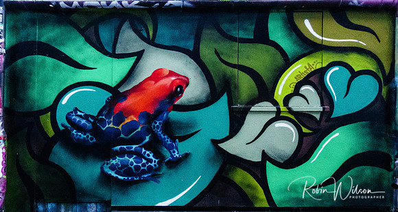 RWCS GRAFFITI 2019-8313