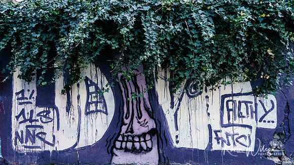 RWCS GRAFFITI 2019-8330