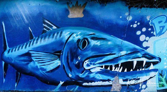RWCS GRAFFITI 2019-8333