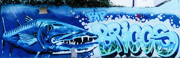 RWCS GRAFFITI 2019-8334