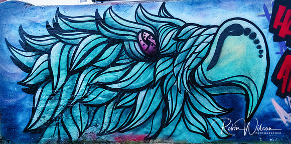RWCS GRAFFITI 2019-8336