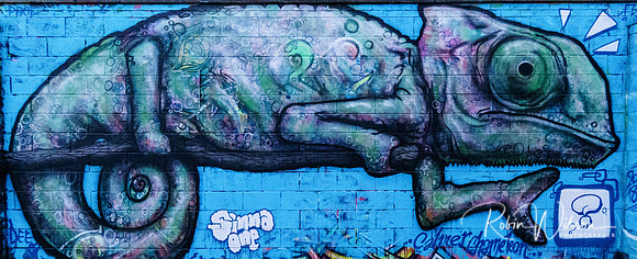 RWCS GRAFFITI 2019-8341
