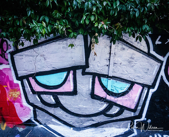 RWCS GRAFFITI 2019-8348