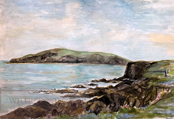 # 27 Cardigan Island