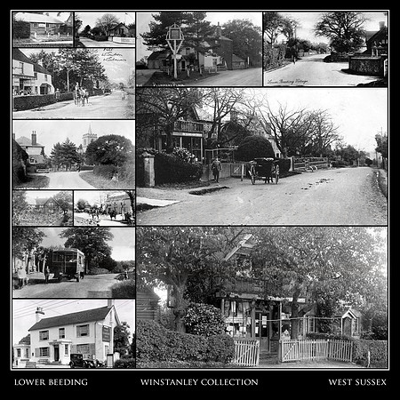 Lower beeding