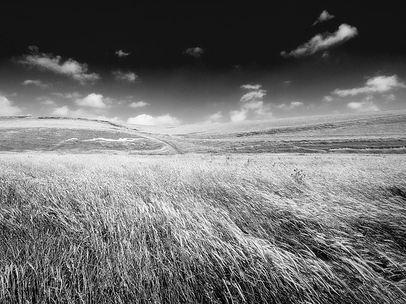 RWCS_Sussex selection_-13