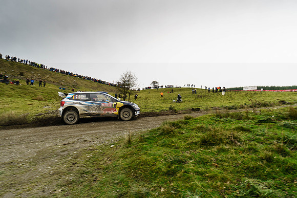 WRC_OCT 2016-6249