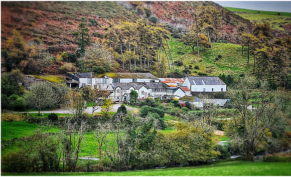 Lorna Doone Farm 20211108_180434_831