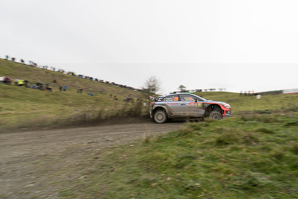 WRC_OCT 2016-6190