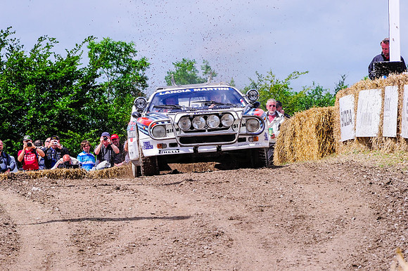 Goodwood FOS #-4789