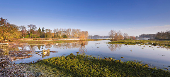 Mockbridge  Sussex Winter views
