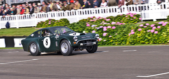 RAC TT  Race-0331